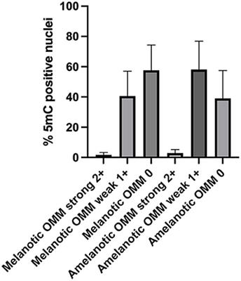 Quantification of Global DNA Methylation in Canine Melanotic and Amelanotic Oral Mucosal Melanomas and Peripheral Blood Leukocytes From the Same Patients With OMM: First Study